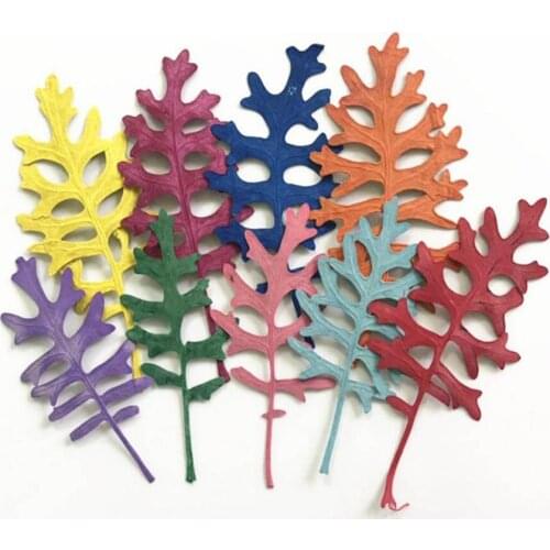 60pcs Pressed Dried Dyed Senecio Cineraria DC Flower Plants Herbarium For Jewelry Postcard Phone Case Invitation Card DIY