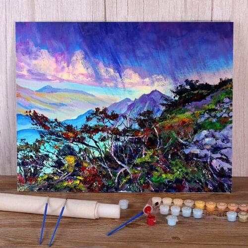 Landscape Sudden Rain DIY Painting By Numbers Complete Kit Acrylic Paints 50*70 Boards By Numbers Loft Wall Handicraft