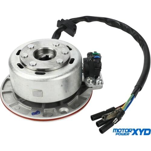 12V AC Ignition Magneto Stator Flywheel kit With Light For YINXIANG YX 140cc 150cc 160cc KAYO BSE SDG SSR Pitsterpro Dirt Bike