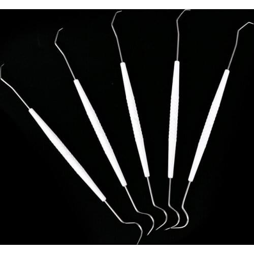 10X Disposable Double Hook Tooth Dental Explorer Dentalist Probe Dentist Tool
