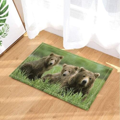 Brown bear in animal grass Rugs Non-Slip Floor child Entryways Outdoor Indoor Front Door Mat bathroom accessories