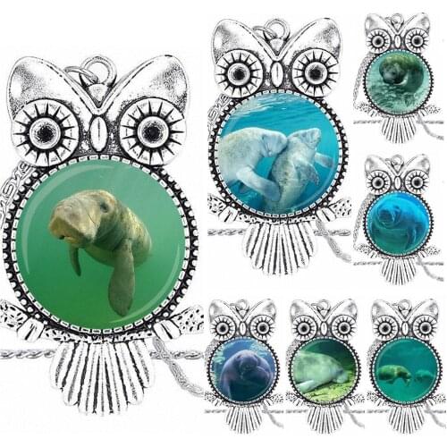 EJ Glaze Manatee Design Fashion Vintage Glass Women Owl Necklace Pendants For Schoolgirl Maxi