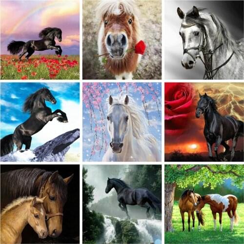 Huacan New 5D DIY Diamond Painting Horse Full Square Diamond Embroidery Animal Art Kit Home Decorations