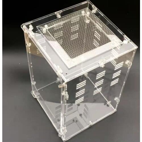 Acrylic Reptile Spider Lizard Scorpion Centipede Horned Frog Gecko Beetle chameleon Insect Breeding Box (20 * 20 * 30cm)