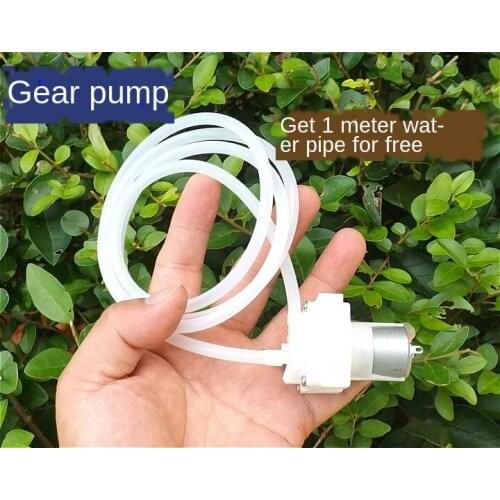 Small Gear Pump DC Motor Pump Micro Pumping Oil Pump Self-Priming Pump Rig Drilling Pump