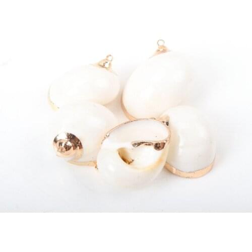 Gold plating Aquarium Beach Nautical DIY conch Colorful Natural Seashells Decorations Scallop conch Crafts Decor Ornament 5Pcs