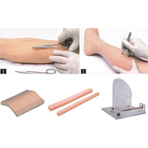 BIX-LV10 Medical Education Training Model Full Featured Surgical Operation Skill Manikin WBW171