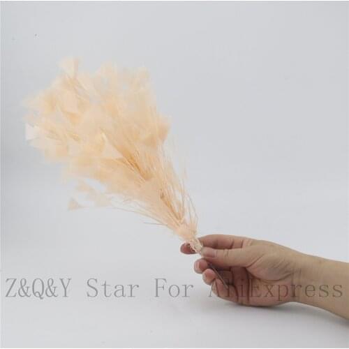 Natural turkey tear flat wool dyed champagne color made into 30-35CM wire flower DIY craft performance costume feather