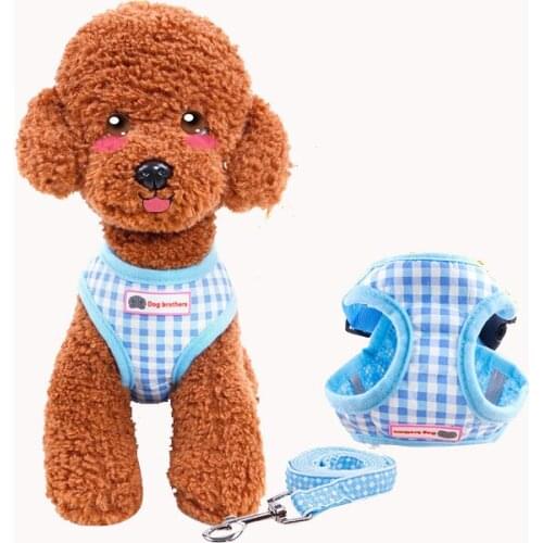 Summer New Dog Harness Leads Sets Breathable Cute Style Vests Nylon Line Leashes For Dog Walking Pets Supplier Free Shipping