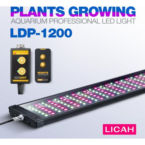 LICAH Hunting Supplies