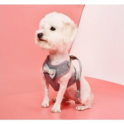 Nylon Dog Harness and Leash Set Puppy Kitten Collars Breathable Mesh Dog Harness Vest For Small Dog