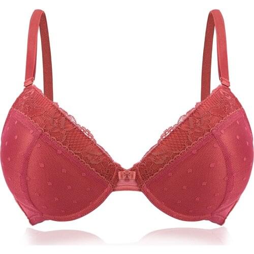 TELIMUSSTO Padded Bras