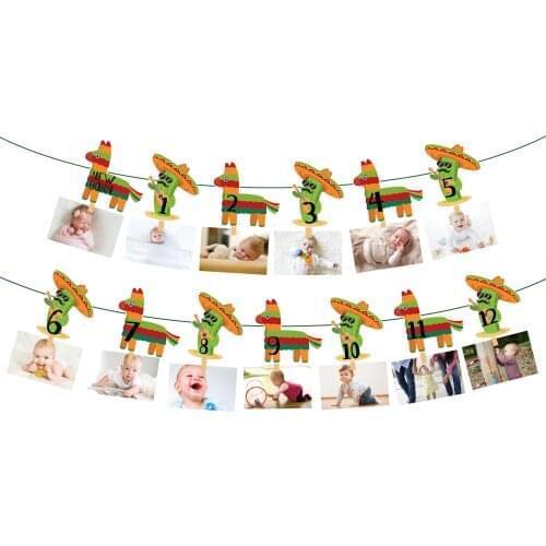Mexico Party Photo Display Banner Baby Shower Cartoon Cactus Wall Hanging Bunting Cinco de Mayo Festival Party Decorations