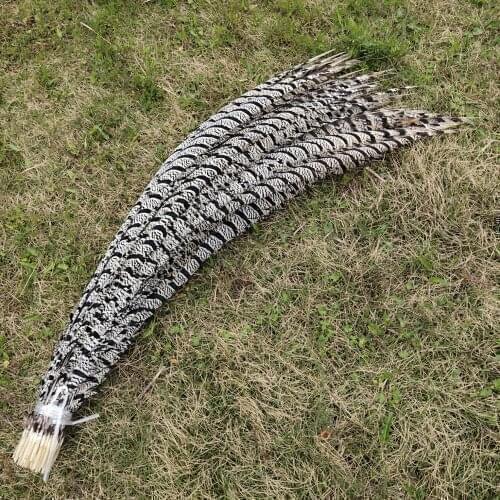 Wholesale Hot 100pcs Natural Lady Amherst Pheasant feather 36-40inch/90-100cm for Home Decoration,Wedding Party Decoration