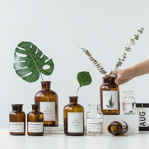 Transparent Label Vase Nordic Simple Living Room Decorations Home Garden Wide Mouth Dark Brown Glass Vase Jars Ins Creative