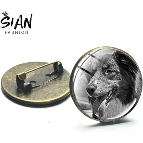 SIAN Vintage Bronze Plated Dog Theme Brooch Various Dogs Puppy Photo Glass Dome Badge Brooches Hot Backpack Decorated Pins Metal