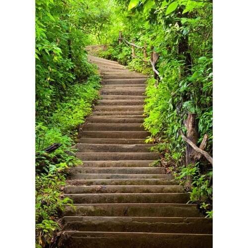 Forest Pathway Photo Background Computer Printed Fond Photography Backdrops for Baby Children Portrait Pets Photoshoot Props