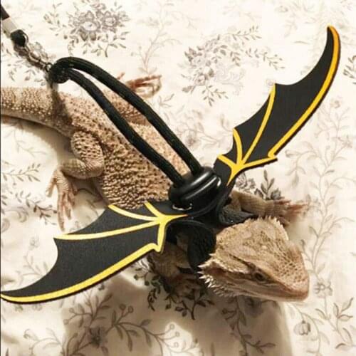 Reptile Pet Outdoor Carrying Walking Lizard Leash Adjustable Reptile Lizard Harness Leash Bearded Dragon Harness Lizard Rope