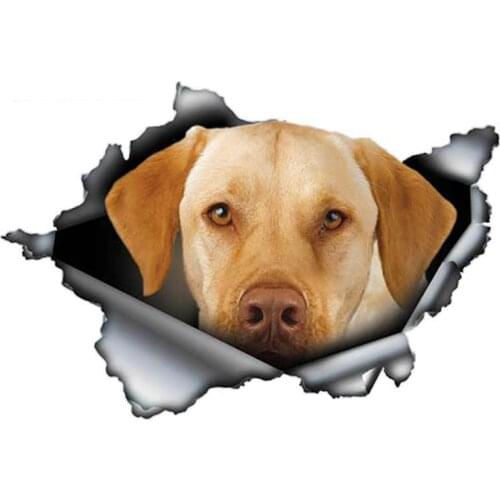 Dawasaru Cartoon 3D Car Sticker Decal Pet Dog Labrador Graphic Auto Accessories Car Window PVC 13cm*9cm