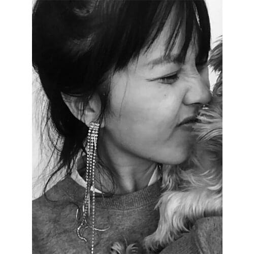 2021 New silver Color Long Crystal Tassel clip on Earrings Without Piercing for Women Wedding Brinco Fashion Jewelry Gifts