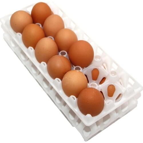 2PCS Multifunctional Egg crate 12 eggs storage plastic box turnover transport carry refrigerator home kitchen tools housewife