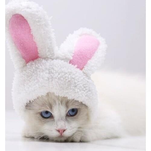 Одежда для кошек CIFBUY China At AliExpress