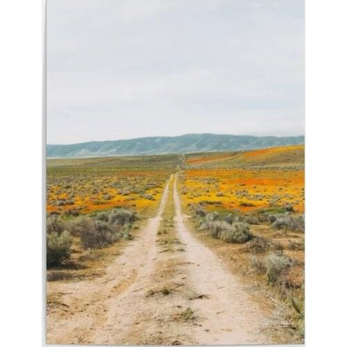 Home Decor Canvas Hd Print Posters Road Less Traveled Painting Modern Landscape Wall Art Living Room Modular Picture No Frame