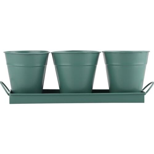 Succulent Flower Pot With Tray And Drainage Hole Vases Iron Eye-catching Novel Design Plant Holder Green Decoration Bucket