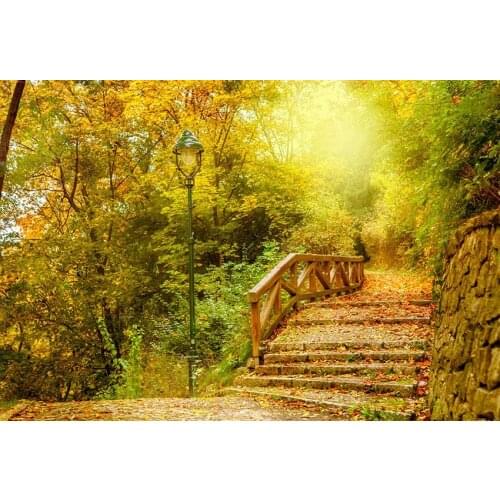 Mountain views photo-shot background photography vinyl scenic picture photo backdrops for photographer studio video kits lv-2168