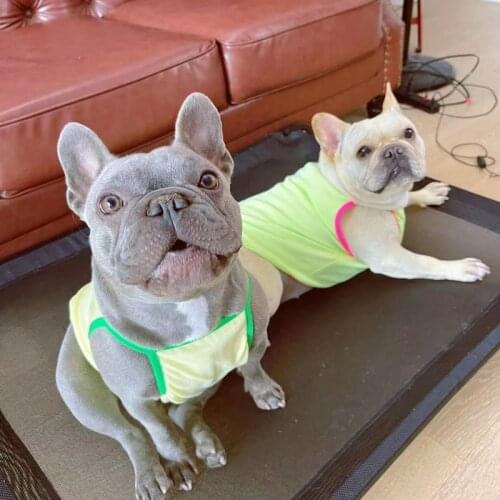 Schnauzer Clothes Pet Dog Sling Tshirt French Bulldog Vest Summer Puppy Costume PDC0085