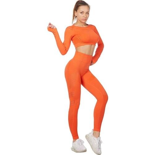 Women Seamless Yoga Set Gym 2 Piece Yoga Clothing Set Fitness Leggings + Long Sleeve Sport Suit Tracksuit Active Wear Sport Suit
