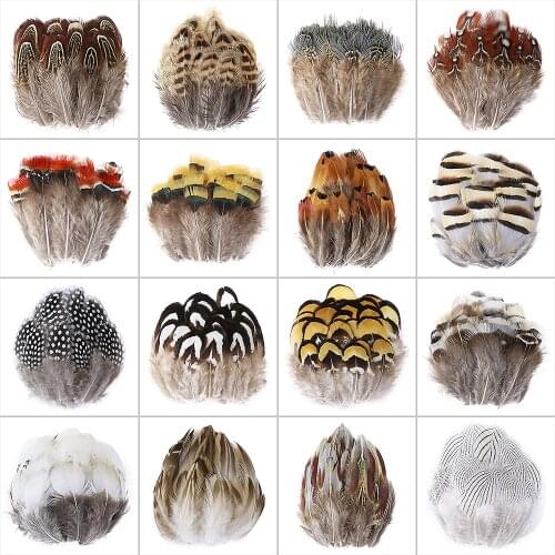 50PCS Natural Pheasant Feathers Wedding Jewelry Decoration Carnival Headdress Accessory High Quality Plumes For Crafts Wholesale