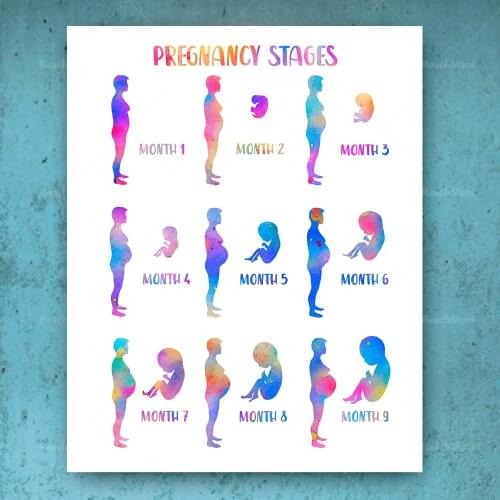 Pregnancy watercolor poster pregnant woman prints fetal painting pregnancy secret gift gynecologist gift