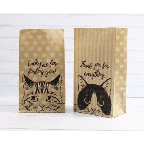 Kraft Paper bags 6pcs Cat Dots Stripes Design Paper Envelopes Stand up Portable Bag Storage Packing Pouches for Kid Book Storage