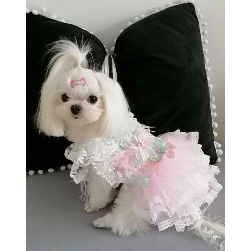 Free Shipping Handmade Dog Clothes Six Petals Feather Sexy Tulle Lace Collar Skirt Princess Dress Pet Cat 2 Choice Yorkie