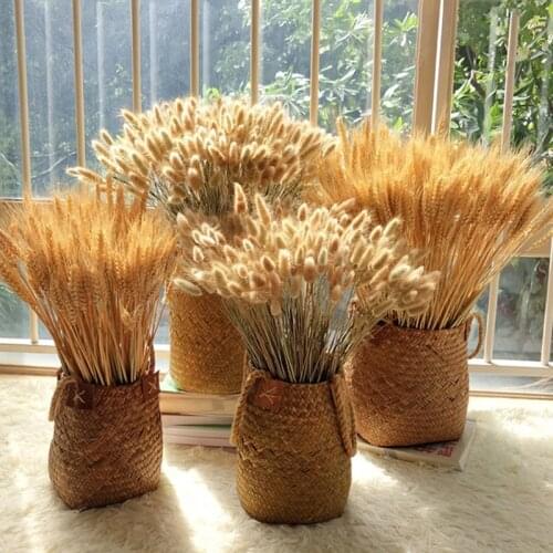 55-60cm Wedding Party Decoration Rabbit Tail Grass Pampas Home Decor Wheat Ears Fluffy Feather Reed Dried Flowers Plants Natural