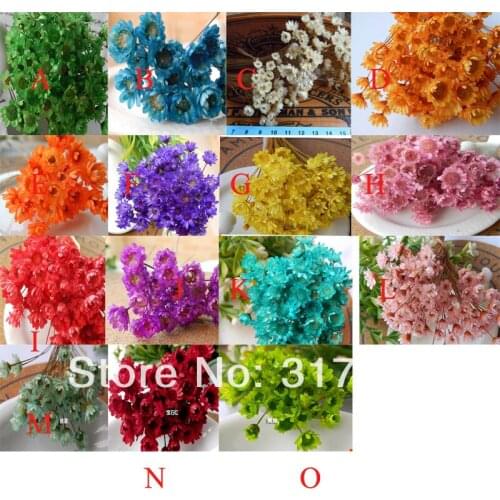 NEW! 0.4-1cm Mixed Color Chrysanthemum indicum dry flower stuff fit glass vials glass bottle glass vial glass bubble
