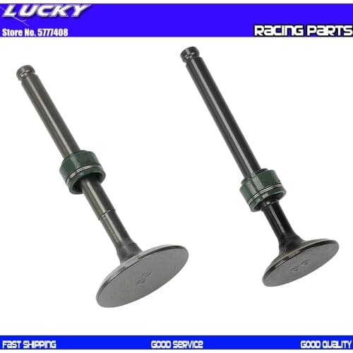 Motorcycle Intake exhaust valves with Oil Seal kit For YinXiang YX 150 160 150cc 160cc 60mm Bore Engine Dirt Pit Bikes ATV Parts