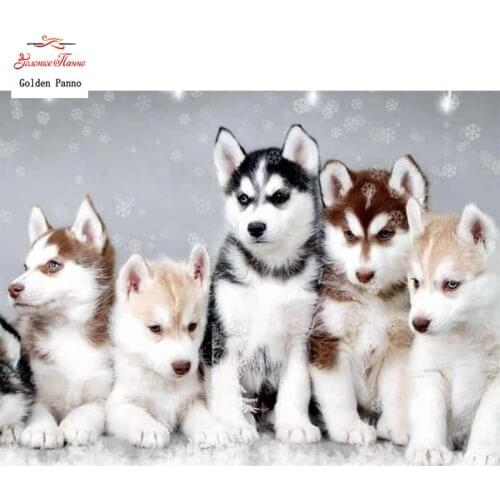 GOLDEN PANNO Diamond Painting Full Square 5D Diy Daimond Embroidery Diamant Mosaic Sale Displasy Broderie Diamant Husky Dog 12