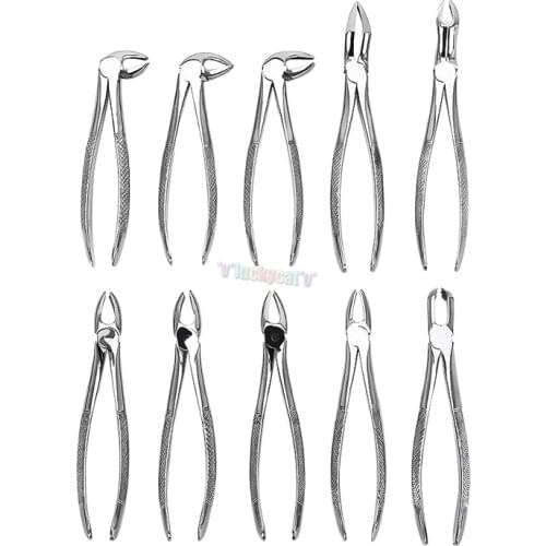1Set Stainless Steel Dental Orthodontic Surgical Tool Instrument Dental Adult Tooth Extraction Plier Forcep
