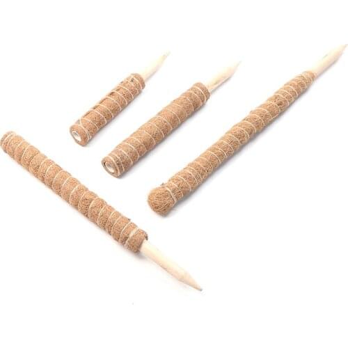 1PC Plant Climbing Pole Coir Moss Stick Coir Moss Palm Vines Stick Plant Support Extension Climbing Indoor Plants Creepers