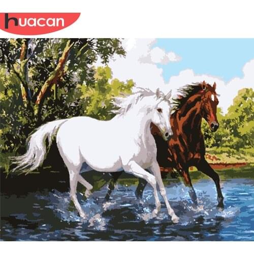 HUACAN Paint By Number Horse Drawing On Canvas DIY Pictures By Numbers Animal Kits Hand Painted Painting Art Gift Home Decor