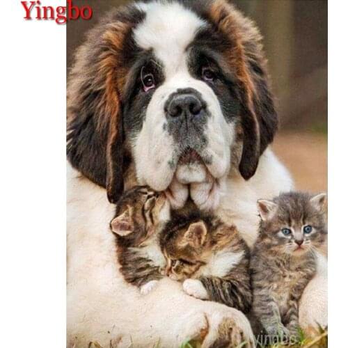 5D DIY Diamond Painting Saint bernard pet cat Picture Diamond Embroidery Full Square round drill Diamond Mosaic Decoration gift