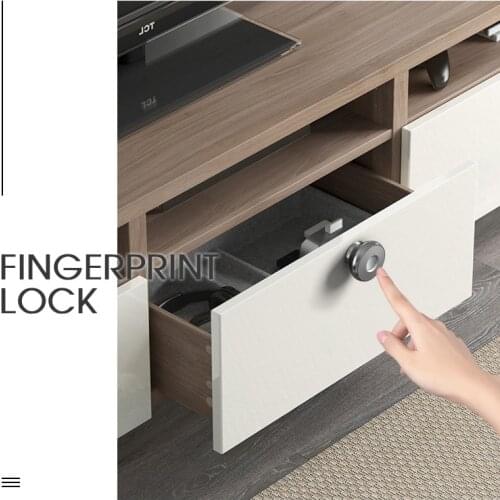 10Fingerprint capacity Mini Aluminum alloy Fingerprint cabinet door lock biometric electric lock