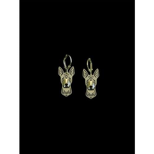 New Trendy Cute Xoloitzcuintle Drop Earrings Gold Color Silver Color Dog Earrings For Women Animal Earrings Aros