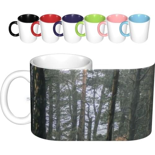 Foggy Trees Ceramic Mugs Coffee Cups Milk Tea Mug Creative Trending Vintage Gift Bottle Cup