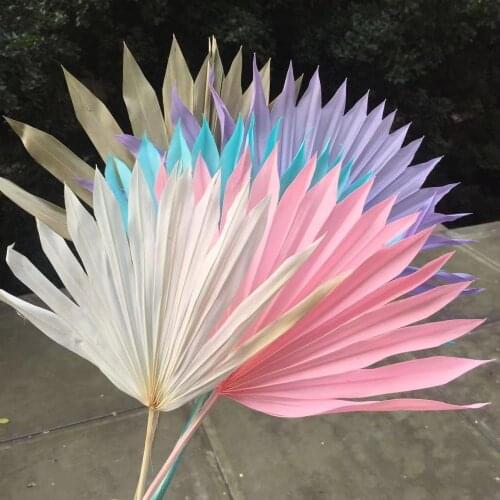 5pcs/18-25*35cm,Nature Dried Fan Palm,Eternelle Display Arrange Flower Art Home Wedding Decoration Accessories,Flowercake Decor