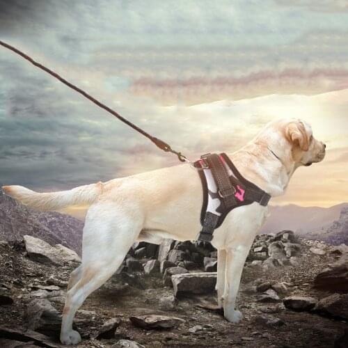 Pet Dog and Cat Adjustable Harness with Leash Reflective and Breathable for Small and Large Dog Harness Vest Pet Supplies