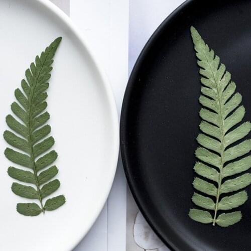 RONGWINGYIK Artificial Leaves