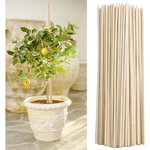 YANTU Supports For Plants